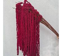 Shein 3/1 pieza Colgante de flor de glicinia falsa color borgoña, colgante de planta de lágrima de amante, colgante de amaranto de seda falsa para boda, flo