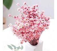 Shein 30/60/100/200/400 Piezas, Tallos de flores secas naturales, Margarita estrella brasileña seca decorativa, Ramo de mini margaritas manzanilla secas par