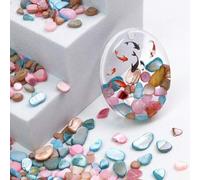 Shein 30g Chips de conchas asimétricas de colores, adecuados para rellenar moldes de silicona, manualidades de joyería, relleno de tazas agitadoras de resin