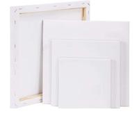 Shein 4 Lienzos para pintar, paquete múltiple de 4, 6 X 6, 8 X 8, 10 X 10, 12 X 12 pulgadas - 1 de cada uno, lienzos en blanco cuadrados, lienzos con bastid