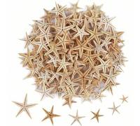 Shein 50/100 piezas Pequeñas estrellas de mar, estrella, concha de mar de playa para manualidades de 0.4"-1" Mejores regalos para cumpleaños y graduación