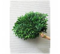 Shein 50/20/10/1 pieza Hojas de Ruscus verde italiano, hojas verdes de seda, hojas de sauce artificial verde, decoración de plantas, decoración de hojas de