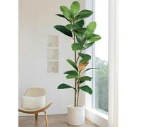 Shein 55/110cm Rama artificial de magnolia, hojas de goma de árbol de higuera tropical falsas, hojas de higuera realistas, plantas verdes artificiales, plan