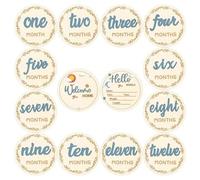 Shein 7 piezas Señales de hitos mensuales 3D para bebé que incluyen el letrero de "Hola mundo" para recién nacido, marcadores de anuncio de edad del bebé, t