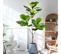 Shein 76-105-135cm (53.1in) Planta artificial de Ficus Fiddle Leaf Fig para decoración de patio exterior, jardín, balcón, interior del hogar y oficina