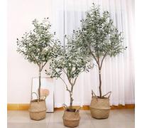 Shein Árbol de olivo artificial de 4 pies/5 pies/6 pies de altura, árbol de olivo falso con maceta, grandes ramas y frutos artificiales, árbol artificial pa