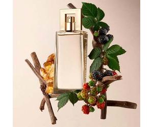 Shein Attraction For Her Eau de Parfum 50 ml