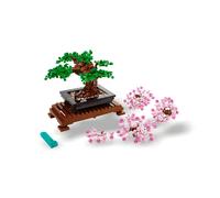 Shein Botanicals® Bonsai tree ADULTS 10281
