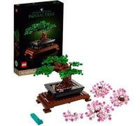 Shein Botanicals® Bonsai tree ADULTS 10281