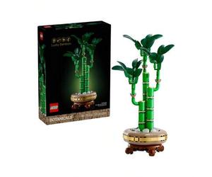 Shein Botanicals® Lucky bamboo ADULTS 10344