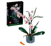 Shein Botanicals® orchid ADULTS 10311