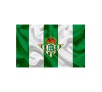 Shein Botella de acero inoxidable de 500 ml. del Real Betis es un testimonio de elegancia y devoción futbolística. Medidas: 24 x 6,5 cm. OFICIAL GARANTIZADO
