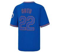 Shein Camiseta de béisbol azul de New York con el número 22 de Juan Soto, uniforme de béisbol con letras bordadas, regalo del día del partido para fanáticos