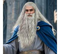 Shein Conjunto de peluca y barba rizada gris, peluca rizada gris y barba de disfraz de Papá Noel para adultos, accesorios de disfraz, cabello sintético para