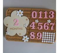 Shein Conjunto de tarjetas conmemorativas de hitos de madera, marca de nacimiento de hitos de madera, tarjeta de hitos de fotografía, desde 1 mes hasta la t