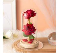 Shein Cúpula de cristal con rosa de tacto real preservada, caja de regalo, al por mayor para el Día de San Valentín, Día del Maestro, regalos de vuelta a la