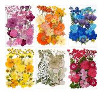 Shein Decoraciones Florales Mixtas, Adornos Botánicos para Resina DIY, Fabricación de Joyas, Scrapbook, Marcadores, Fundas de Teléfono & Proyectos Creativos