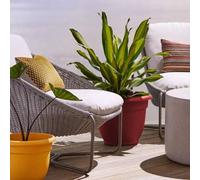 Shein El macetero del Caribe - Maceta para interior y exterior con agujero de drenaje y tapón - Macetas de plástico con borde rodante para plantas y flores