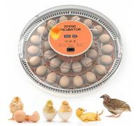 Shein Incubadora para 30 huevos con volteo automático de huevos e indicador de humedad, incubadoras para huevos para incubar, incubadora para pollos, patos,