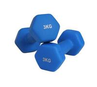 Shein Juego de 2 Mancuernas, 2 x 2 kg, Mancuernas Hexagonales con Superficie de Vinilo, para Fitness, Ejercicio, Entrenamiento, para Gimnasia en Casa, Viole