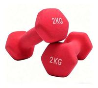 Shein Juego de 2 Mancuernas, 2 x 2 kg, Mancuernas Hexagonales con Superficie de Vinilo, para Fitness, Ejercicio, Entrenamiento, para Gimnasia en Casa, Viole