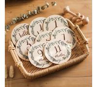 Shein Juego de 8 tarjetas de hitos de madera de eucalipto para recién nacidos sin caja de madera, discos de hitos mensuales de doble cara, accesorios de fot