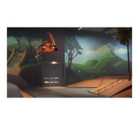 Shein Juego Tony Hawk's Pro Skater 1 + 2 para Playstation 4 | PS4 - PAL EU - Producto Original - Envio Rapido desde España