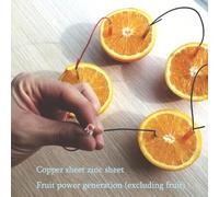 Shein Kit de generador de batería de fruta de cobre y zinc - Lámpara LED de energía de fruta, experimento de ciencia divertido, pequeño proyecto de tecnolog