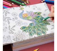 Shein Libro de colorear de mandalas de 24 páginas de 18.5*18.5cm para adultos, libro de colorear pintado a mano para aliviar el estrés, regalo para el día d