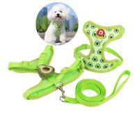 Shein Lindo conjunto de arnés y correa para mascotas, correa para caminar al aire libre para perros pequeños, correa anti-escape para gatos, chaleco ajustab