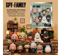Shein Llavero de bolsa ciega auténtica de Spy X Family (1 pieza) - Figura de espuma 3D en caja misteriosa, bolsa de figura, clip y encanto, cremallera, llav