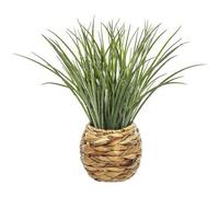 Shein Maceta decorativa trenzada de hojas de jacinto y planta decorativa. Envío gratuito en 24/48 horas