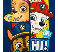 Shein Manta de franela linda de Paw Patrol, manta individual para dormitorio de estudiante, adecuada para guardería, preescolar, viaje - apta para niños o n