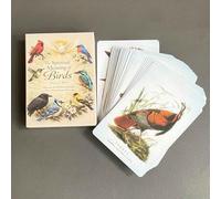 Shein Mazo de Cartas Oráculo El Significado Espiritual de las Aves, Mazo de Adivinación Edición Visión en Inglés, Juego de Tablero de Tarot, Adecuado para A