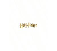 Shein Mochila 3D Harry Potter 31cm