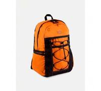 Shein Mochila Ashville de DICKIES en color marrón claro