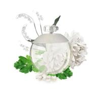 Shein Noa 50ML Eau de Toilette para mujer