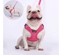 Shein Nuevo diseño de set de correa para perro, incluye arnés y collar ajustable reflectante, adecuado para pasear a un bulldog francés al aire libre, cómod