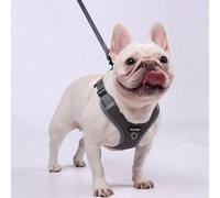 Shein Nuevo set de correa para perro con color, incluye arnés y collar ajustable reflectante, adecuado para pasear a un bulldog francés al aire libre, cómod