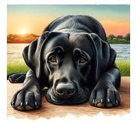 Shein Patrón de perro Labrador negro, Nuevo kit de pintura de diamantes 5D, Mosaico de acrílico de broca completa obra de arte de bordado, 11.8X11.8 pulgada