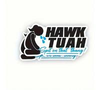 Shein Pegatinas de escupir de Hawk Tuah - Pegatinas para parachoques, automóviles, equipaje, portátiles, teléfonos celulares, motocicletas, ventanas, parede
