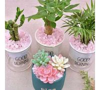Shein Piedras de cristal de cuarzo rosado natural - Guijarros decorativos para acuarios, recipientes de vidrio, jardines zen y jardines de cuentos de hadas