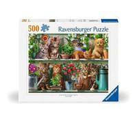 Shein Puzzle 500 piezas Gato en el estante