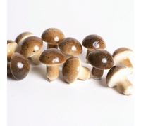Shein Set de 12 piezas de decoración artificial de plantas falsas de plástico espuma, hongos hechos a mano, adecuado para manualidades/decoración del hogar/