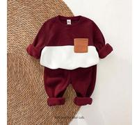 Shein Set de 2 piezas de suéter de cuello redondo de manga larga y pantalones con puño para bebé niño con parche de contraste de color