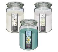 Shein SET DE 3 VELAS DE CRISTAL PERFUMADAS CON AROMAS A JAZMÍN, VAINILLA Y FLOR DE TIARÉ. Envio gratis en 24/48h