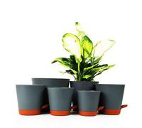 Shein Set de 5 macetas de interior autorriego con agujeros de drenaje y bandejas, tamaños: 7", 6.5", 6", 5.5", 5" - Macetas de interior Utopia Home con dren