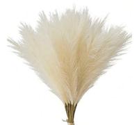 Shein Set de 5 piezas/10 piezas/20 piezas - Juncos artificiales, de 55 cm/21.65 pulgadas de altura, hierba falsa esponjosa, grandes ramas generales de pampa