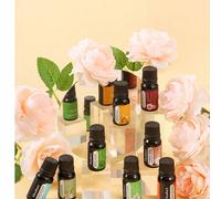 Shein Set de 9 aceites esenciales, Caja de regalo de 8 aceites esenciales, Combo de 19 piezas/8 piezas/6 piezas/4 piezas/2 piezas/1 pieza de aceites esencia