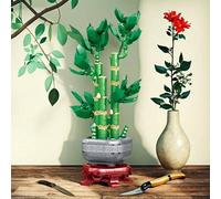 Shein Set de bloques constructores de bambú de la suerte, bloques de maceta de diversos estilos de flores, como bambú de la suerte, magnolia, flor del caqui